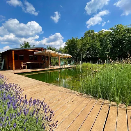 Architektenhaus Mit Naturpool Villa